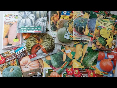 Видео: Обзор семян тыквы на 2023 год. Мои любимые сорта и много новинок.