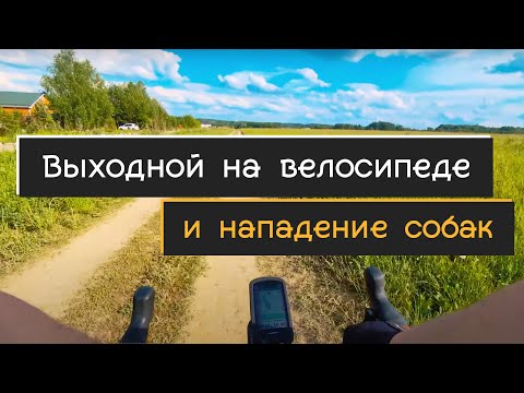 Видео: Очередной выходной на велосипеде | Нападение собак | Как построить  маршрут