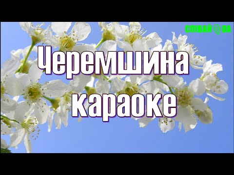 Видео: Черемшина (мінус караоке, Не задавка) Джанні Стелла