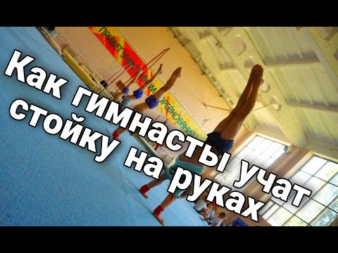 Видео: КАК ГИМНАСТЫ УЧАТ СТОЙКУ НА РУКАХ /СТОЙКА НА РУКАХ С НУЛЯ /СОВЕТЫ ОТ ТРЕНЕРА ПО ГИМНАСТИКЕ