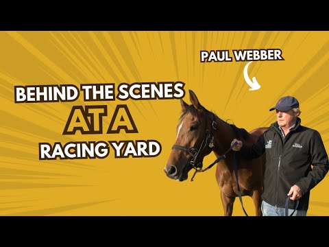Видео: За кулисами документального фильма RACING YARD с участием Франчески Кумани и Пола Уэббера!