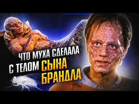 Видео: Что МУХА сделала с телом сына Брандла