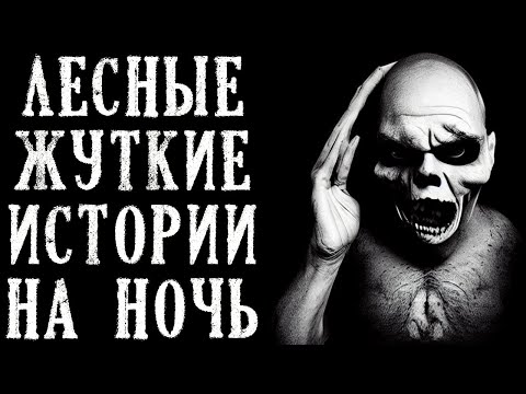 Видео: Лесные Жуткие Истории на Ночь (4в1)
