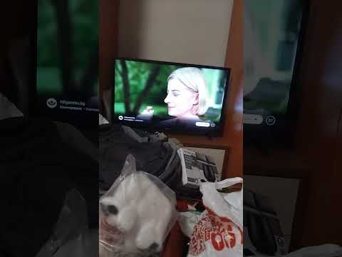 Видео: Реагирам на клипчето на Transit Nomad днес не бях гледал новите видеа от както той беше качил видеат