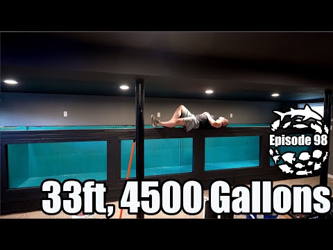 Видео: Начался заключительный этап строительства аквариума длиной 33 фута и объемом 4500 галлонов!