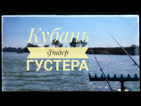 Видео: Отличная Густера на фидер на реке Кубань /// Пивной Набор №12