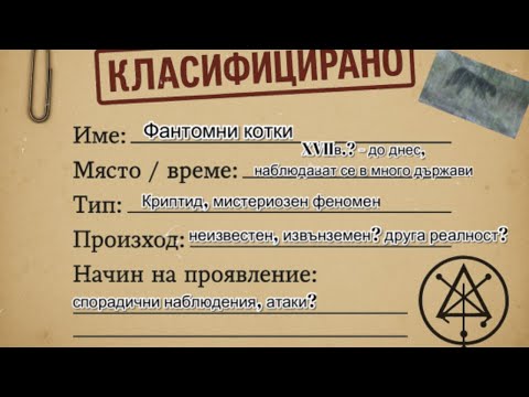 Видео: Досие 005: Фантомни котки - паранормална реалност?