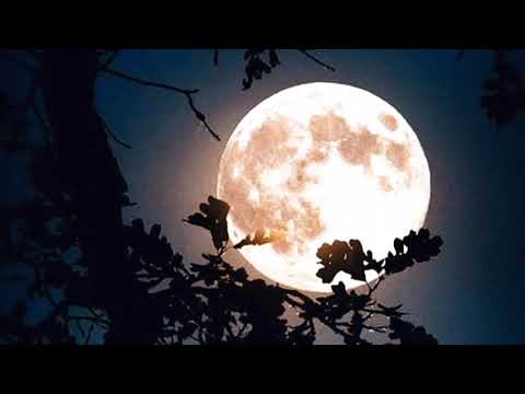 Видео: Самди - Канцлер Ги