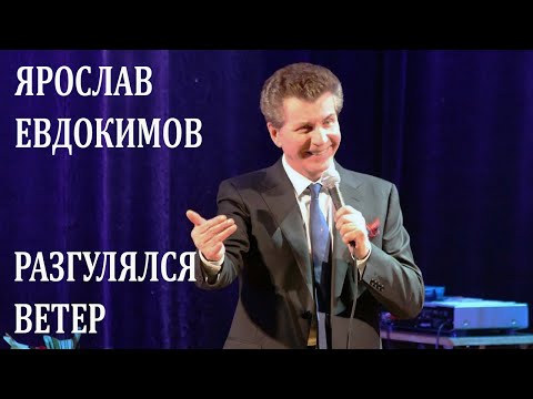Видео: Ярослав Евдокимов - Разгулялся ветер.