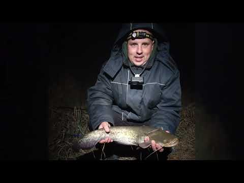 Видео: Закрытие сезона на сома в первые осенние заморозки. Рыбалка в Беларуси. 