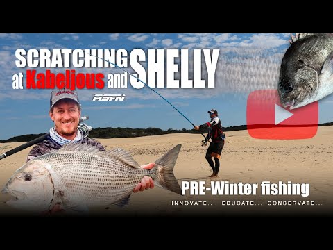 Видео: В поисках съедобных вещей на Kabeljous & Shelly | Как выкачать креветку и получить красную наживк...