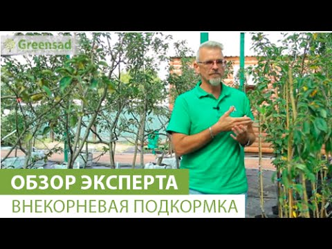Видео: Внекорневая подкормка