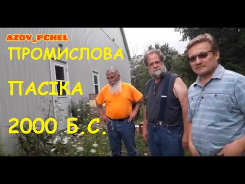 Видео: КАНАДА ПРОМИСЛОВА ПАСІКА 2000 Б.С. #пчеловодствов6тирамочныхульях