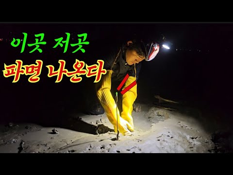 Видео: На приливных отмелях, где вода плохо отводится, они выкапывают и собирают бесчисленное количество...