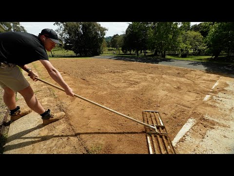 Видео: РЕМОНТ ГАЗОНА ОТ НАЧАЛА ДО КОНЦА // ОБРАБОТКА ГОЛОВЫ, УДАЛЕНИЕ СОЛОТЫ, УБОРКА СЕРДЦА И ПОДКОРМКА