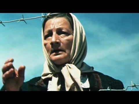 Видео: НЕВООБРАЗИМЫЕ ЗВЕРСТВА НЕМЦЕВ! ОНИ НАСИЛОВАЛИ ЖЕНЩИН ПРЯМО ПРИ ДЕТЯХ! Плач перепелки. Русский Канал