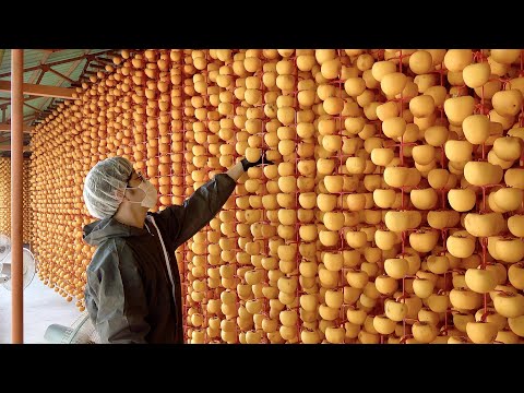 Видео: Удивительное массовое производство и отличный видеоролик о производственном процессе в Корее