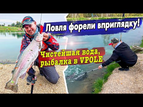 Видео: Наичистейшая вода VPOLe! / Ловим форель сверху! / Безлимит