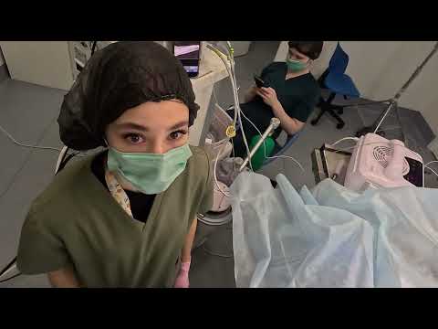 Видео: Удаление металлоконструкции у собаки после остеосинтеза(Removal of a fixator in a dog )