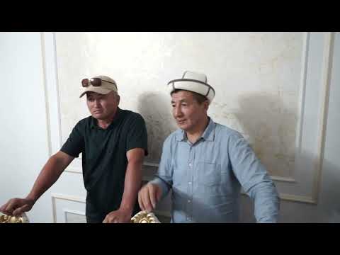 Видео: 2 ноября 2025 г.