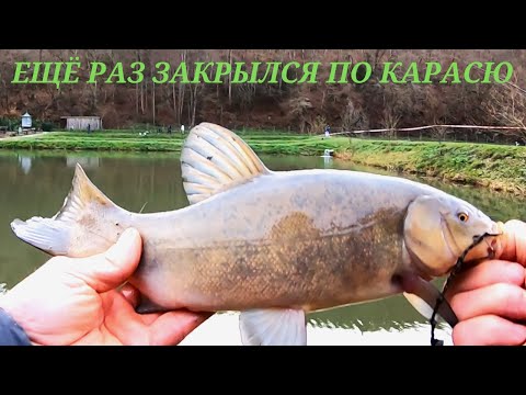 Видео: Неожиданно закрылся второй раз по карасю.