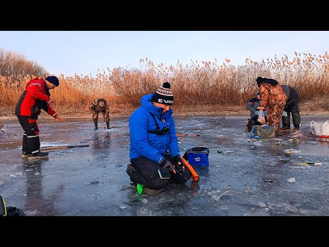 Видео: Зима, лід, РИБАЛКА і багато риби! Золота ЛУНКА роздає карасів! Всі ЛОВИЛИ рибу мішками! МЕГА Кльов!