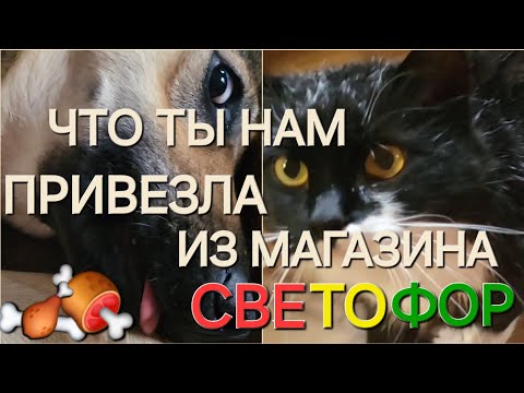 Видео: День нежности🐕/Немного покупочек 🛍️/ОДНА В ДЕРЕВНЕ👱🏼‍♀️