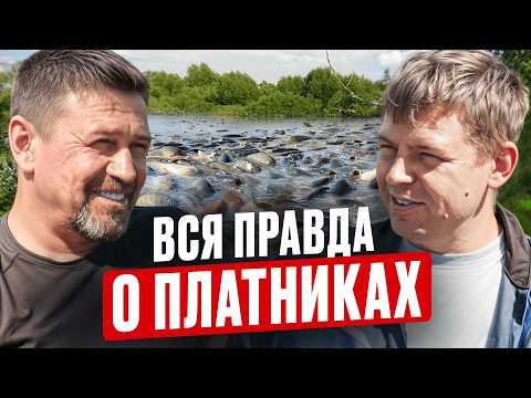 Видео: Мечта любого рыбака! Рыба будет клевать всегда, если… / Как зарабатывать на платной рыбалке в 2025?