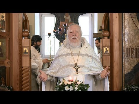Видео: Проповедь о высшем благе во вселенной (2017.05.28)