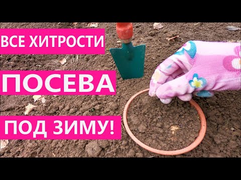 Видео: ПРАВИЛЬНЫЙ ПОСЕВ СЕМЯН ЦВЕТОВ и ОВОЩЕЙ под ЗИМУ/ Посадка осенью под зиму.