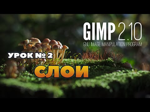 Видео: Графический редактор GIMP 2.10/Урок №2. Слои в GIMP