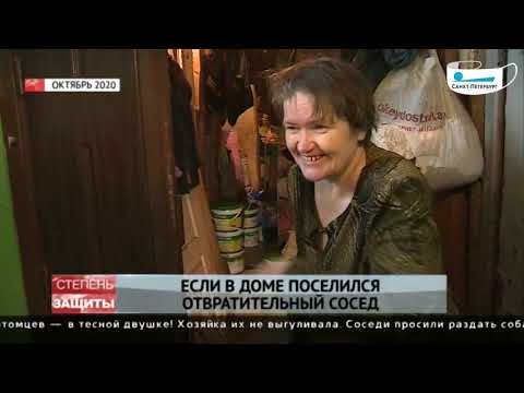 Видео: Мусор, вонь, кошки и ведьмы. Памятка: как бороться с токсичными соседями в Петербурге