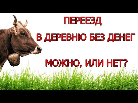 Видео: Переезд в деревню без денег (можно, или нет?)