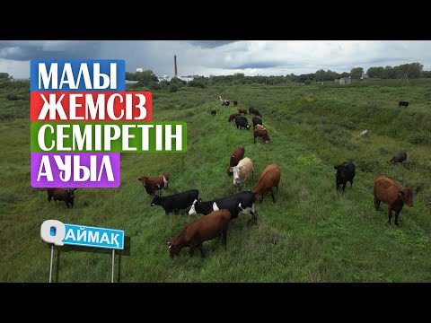 Видео: МАЛЫ ЖЕМ- ШӨП ЖЕМЕЙ-АҚ  СЕМІРЕТІН АУЫЛ