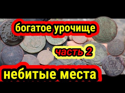 Видео: богатое урочище, небитые места