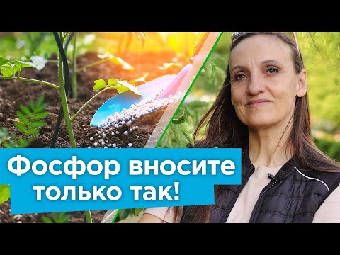 Видео: От ФОСФОРНЫХ УДОБРЕНИЙ НЕ БУДЕТ ПРОКУ, если не знать эти важные нюансы!