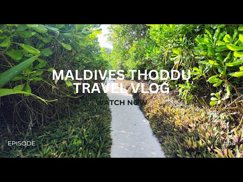 Видео: Локальный остров Тодду (Thoddoo). Мальдивы