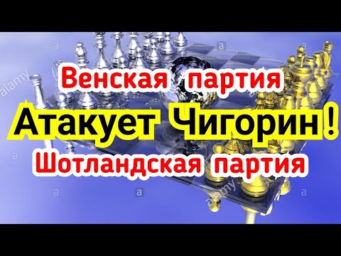 Видео: 3)  Атакует Чигорин ! Венская+Шотланская партия!  Три в одном.