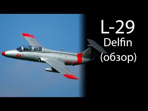 Видео: L-29 #AMK Eduard Обзор модели, масштаб 1/48