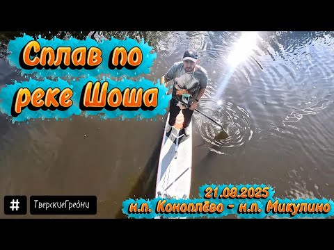 Видео: Сплав на сапбордах по реке Шоша