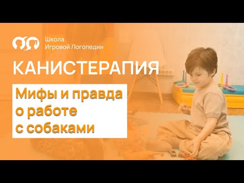 Видео: Канистерапия. Мифы и правда о работе с собаками