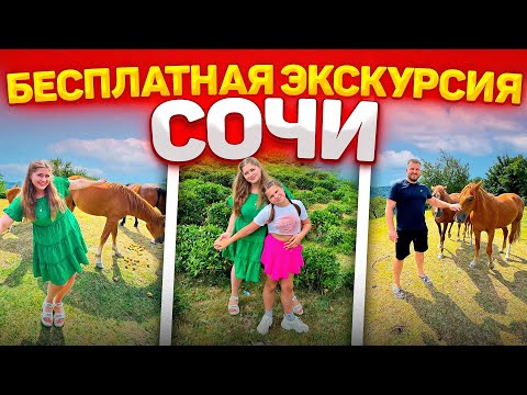 Видео: Сочи 2024г. Дорогая квартира, Бесплатная экскурсия, чистый пляж