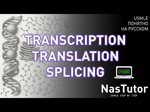 Видео: Синтез белка: упаковка ДНК, транскрипция, трансляция, патологии | USMLE Step 1 на русском