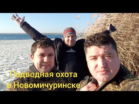 Видео: Подводная охота в Новомичуринске