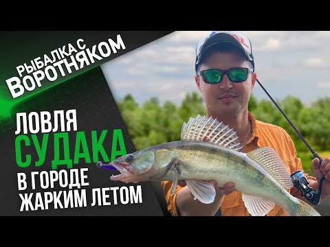 Видео: Ловля судака и щуки на Десне в жаркое время.