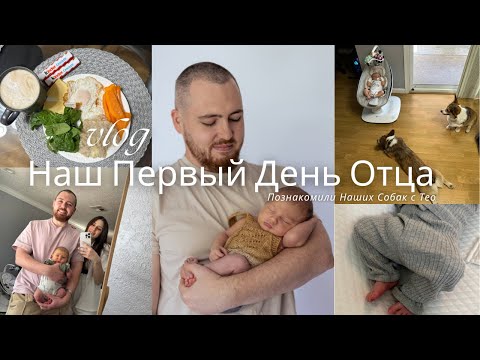 Видео: USA | Наш Первый День Отца. Познакомили Наших Собак с Тео. Начали Худеть. Скупились На WIC.