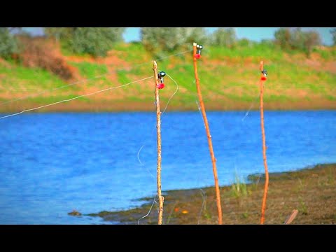 Видео: РЫБАЛКА НА ЗАКИДУШКИ. БЕШЕНЫЙ КЛЁВ КРУПНОГО КАРАСЯ. Рыбалка на жмых. Где и как поймать саранчу?
