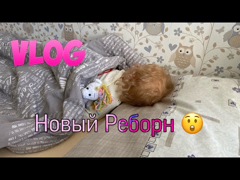 Видео: Vlog Утро с Реборном | Morning with Reborn Doll