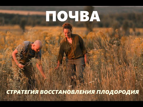 Видео: Стратегия восстановления почвы