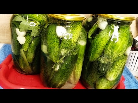 Видео: КВАШЕНЫЕ Огурцы без УКСУСА.Солю только так. Рецепт который осилит каждый.
